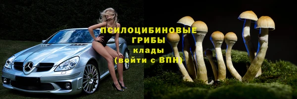 альфа пвп Дмитровск