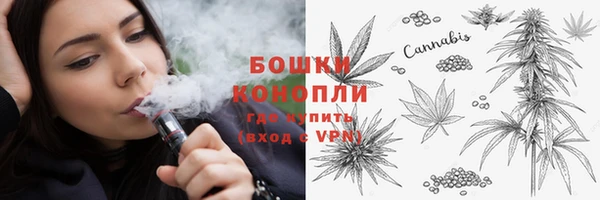 экстази Дмитриев
