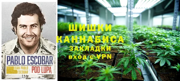 мяу мяу кристалл Дмитров