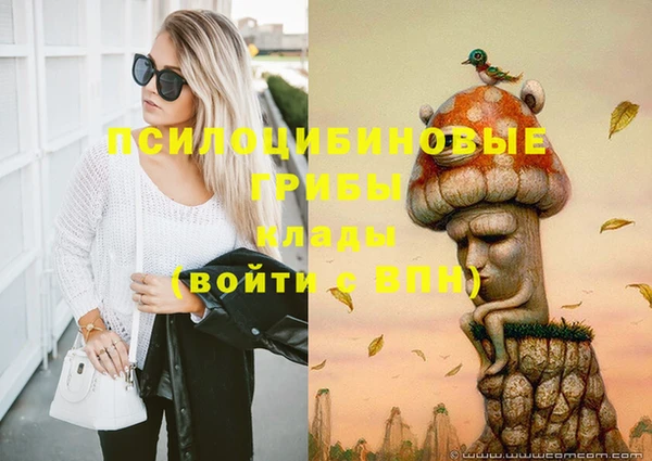 альфа пвп Дмитровск