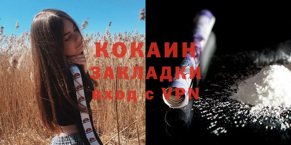 экстази Дмитриев
