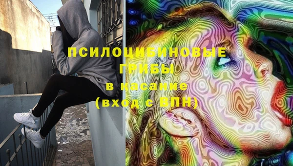 экстази Дмитриев
