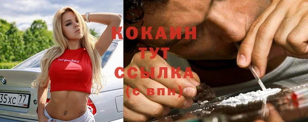 альфа пвп Дмитровск