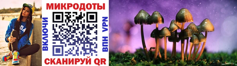 Купить  Новосибирск  Псилоцибиновые грибы GOLDEN TEACHER 